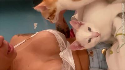 Video polemico do Mc Pipokinha com gatos